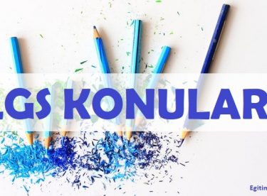 2020 LGS Matematik Konuları (MEB)