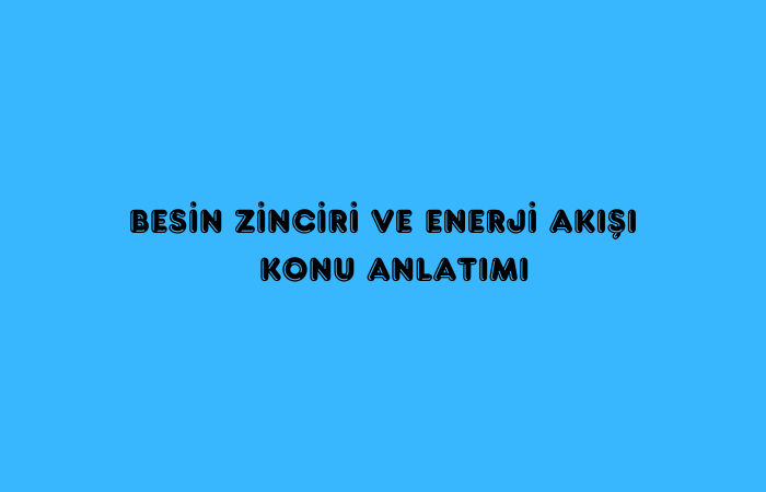 Besin Zinciri ve Enerji Akışı Konu Anlatımı