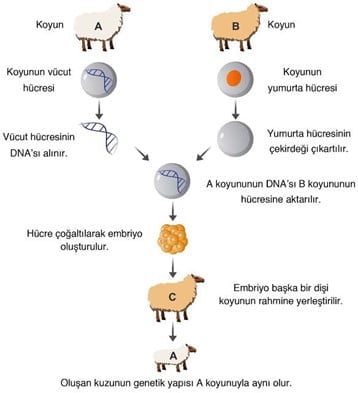 Biyoteknoloji Konu Anlatımı - EğitimGO